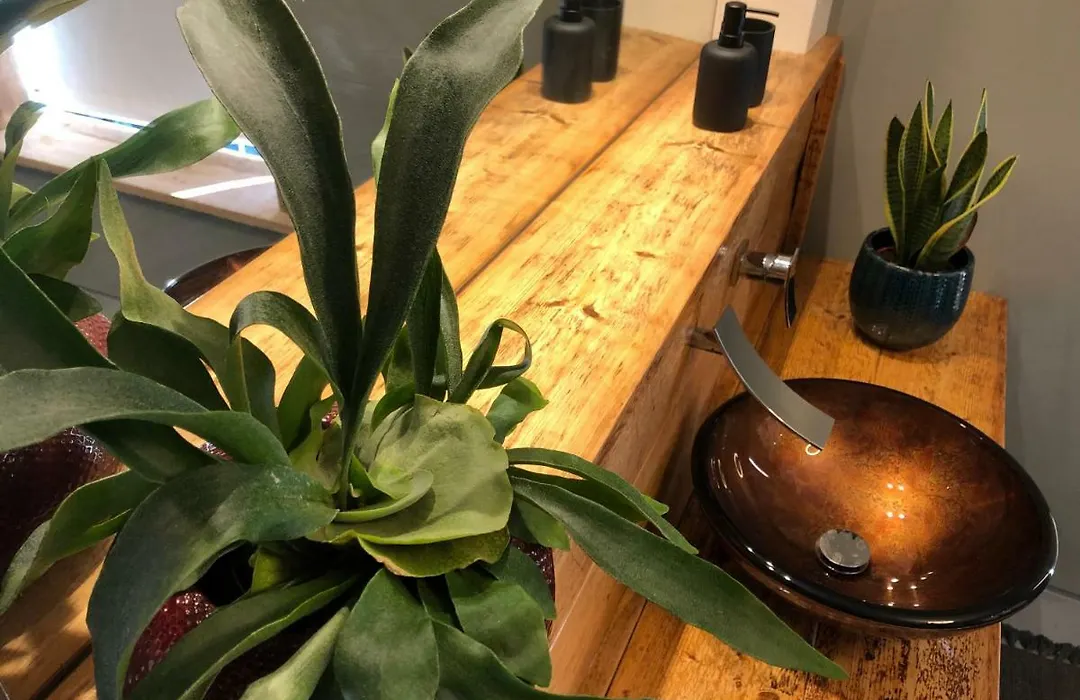 Ruime studio 'In de drie koningen' in hartje Middelburg-1